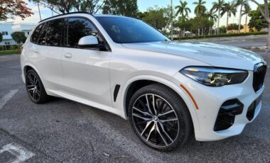 BMW X5M White on Brown